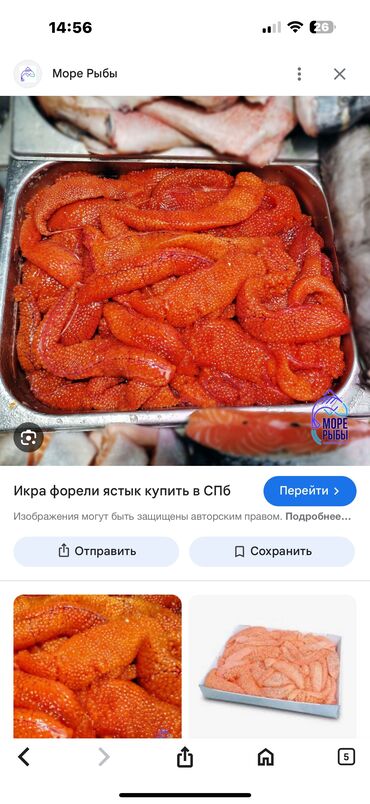 купить бельгийский шоколад для кондитеров: Куплю икру форели в ястыках