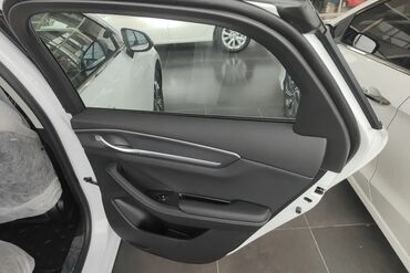 BYD: BYD : 1.5 l | 2024 il 55 km Sedan — 10