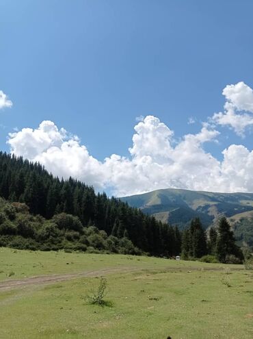 Продажа участков: 30 соток, Для бизнеса, Тех паспорт — 10