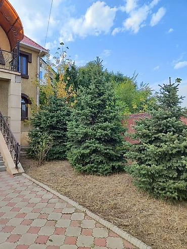 Долгосрочная аренда домов: 300 м², 8 комнат — 2