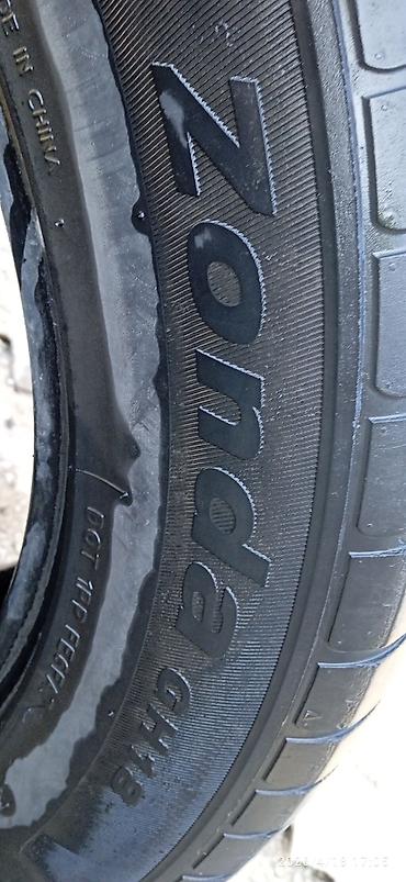 Шины: Шины — 3