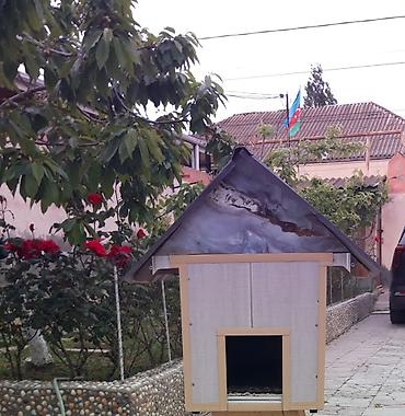 cucə yuvası: Məhsul: Açıq havada istifadə üçün pişik evi Təsvir: Qapalı pişik evi — 1