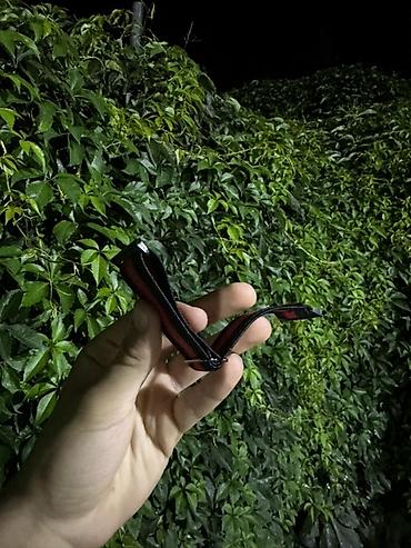 gun eynəyi: Yeni, Kəmər, Apple, Parça, rəng - Qara — 1