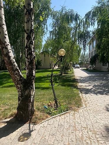 иссыккуль ананьево: Эко‑комплекс на берегу озера в ЦО Asia Palace с собственным пирсом и — 7