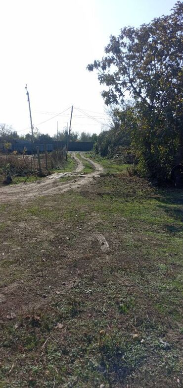 Torpaq sahələrinin satışı: 13 sot, Tikinti, Mülkiyyətçi, Kupça (Çıxarış) — 9