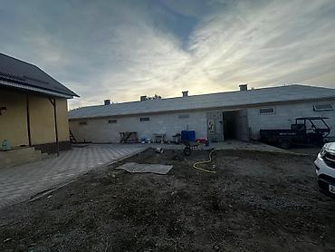 пол дом продаю: Конюшня/хозяйственный двор с помещениями и заездами участок 10 сотка — 8