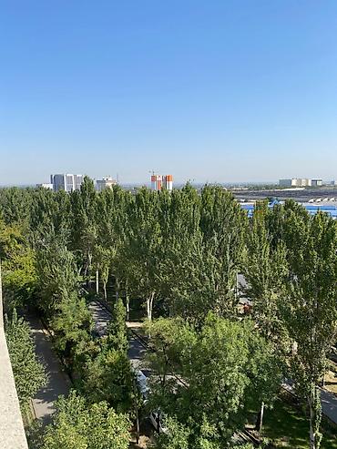 Продажа квартир: Просторная светлая кухня и санузел в квартире с видом на зеленый — 6