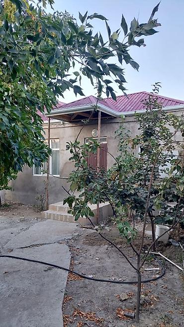 House, 3-room, 100 m², for rent, Bakı