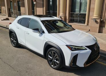 Lexus: Lexus : 2020 г., 2 л, Вариатор, Гибрид, Хэтчбэк