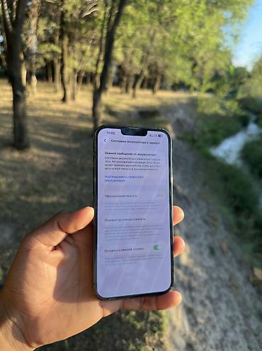 core 2: IPhone 13 Pro Max, Б/у, 128 ГБ, Alpine Green, Чехол, 74 % — 6