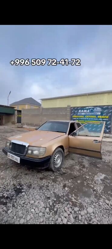 мерседес бенс лупарик: Mercedes-Benz W124: 1988 г., 2.9 л, Автомат, Дизель, Седан