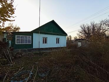 Продажа коттеджей и домов: Продам дом🏡 г. Каинды ул. Ленина 15 участок более "11 сот" 4 ком и — 5