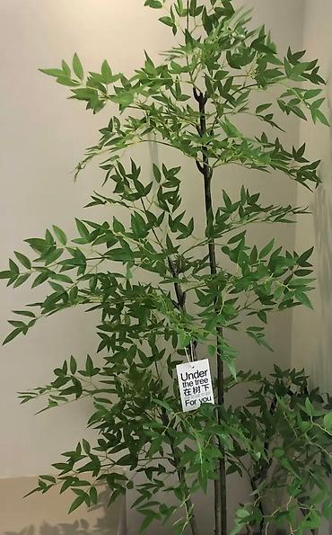 Декоративные цветы: Искусственное дерево в стильном белом кашпо. Идеально для интерьера — 8