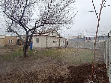 Продажа коттеджей и домов: Бишкек шаарынын Ак-босого конушунан(Дордой,Старый толчокко — 9