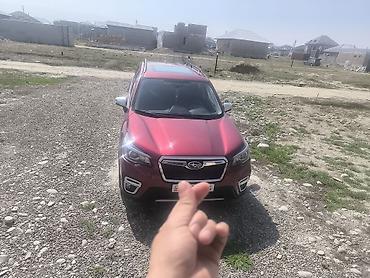 форестер 2006: Subaru Forester: 2020 г., 2.5 л, Вариатор, Бензин, Кроссовер — 9