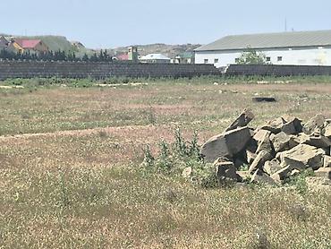 şirket: 24 sot, Tikinti, Mülkiyyətçi, Bələdiyyə — 5