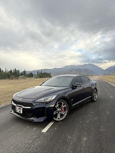 перекурить авто: Kia Stinger: 2020 г., 2 л, Автомат, Бензин, Фастбек — 1