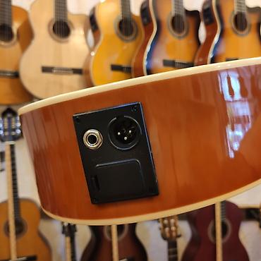 Gitaralar: Elektro klassik gitara Simlərin sayı: 6 Smiger EC 320 İstehsalçı:Çin — 5