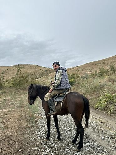 at aliram: Erkək, il: 2 — 3