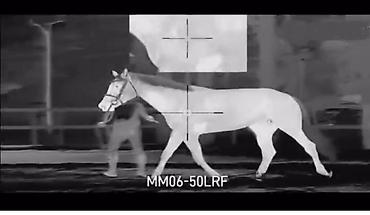 прозрачный чехол: Тепловизионный прицел Sytong MM06-50LRF. Диаметр объектива: 50 мм — 6