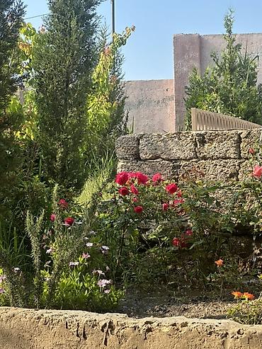 kirayə 1 otaq: Bağ evi tarqovu ramana deyilən yerde düz yol kenarı 204 un — 9