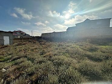 torpaq saray: 6 sot, Tikinti, Maklerlər narahat etməsin, Bələdiyyə — 2