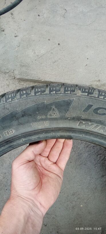 зимный шина: Шины 205 / 55 / R 16, Зима, Пара, Легковые, Pirelli