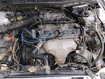 обмен торнео: Honda Torneo: 2001 г., 1.8 л, Автомат, Бензин, Седан — 9