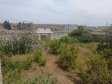 ləhic: 12 sot, Tikinti, Makler, Kupça (Çıxarış) — 1