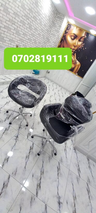 Otaq bitkiləri: Kreslo salon ucun