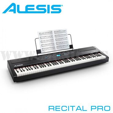 самое дешевое пианино: Фортепиано цифровое Alesis recital pro - компактное и функциональное