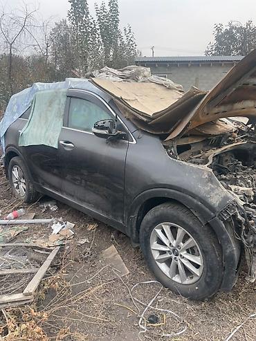 e 55 amg: Kia Sorento, кроссовер, на запчасти или под разбор. Матор — 1