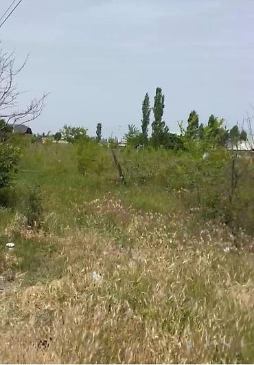 Жер тилкелери: 10 соток, Курулуш, Кызыл китеп — 1