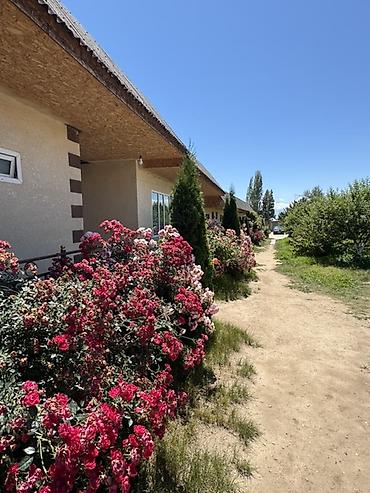 секис дом: Ысык-Көлдө конок үйү, TAMCHY GUEST HOUSE, Тамчы, 10+ орун, Күнүмдүк — 2