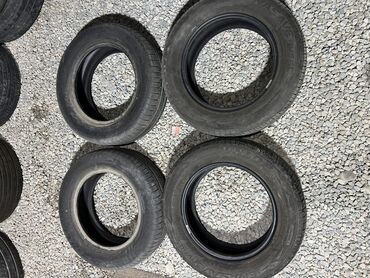 шины 2356516c: Шины 195 / 65 / R 15, Лето, Б/у, Комплект, Легковые, Япония, Dunlop