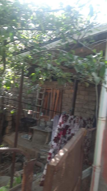 satliq evler: Həyətyanı fərdi yaşayış evi - İki mərtəbəli tikili, fasadı rəngli — 6