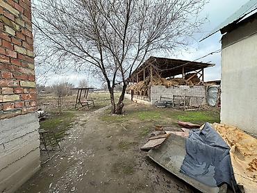 Продажа коттеджей и домов: Трёхкомнатная времянка и новый дом четыре комнатные плюс сарай 20/6 — 22