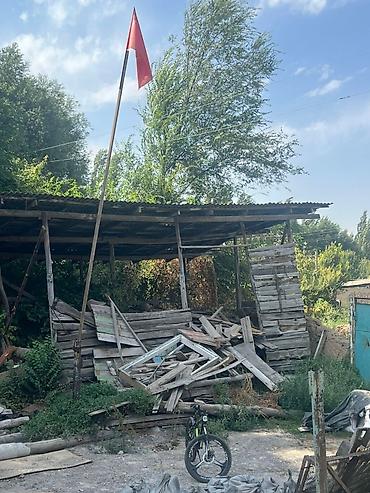 древесный: Даром отдам все дрова самовызов заберайте сегодня даром срочно срочно — 2