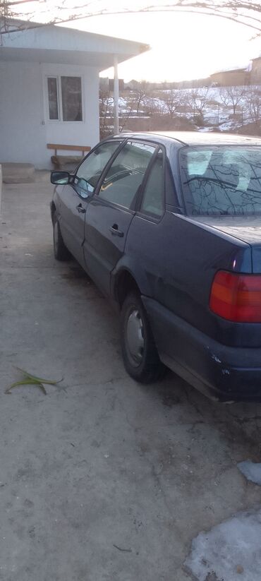 семёрка машина: Volkswagen Passat: 1995 г., 1.8 л, Механика, Бензин, Седан