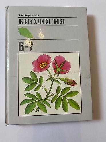 Другие книги и журналы: ВСЕ ПО 190 СОМ English Наглядная геометрия 5-6 класс История — 12