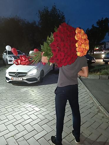 Организация мероприятий: Организация мероприятий | Оформление мероприятий — 27