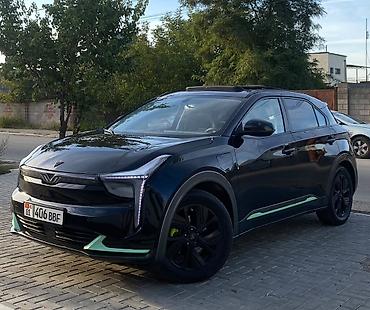 Hozon: Hozon Neta U-II: 2023 г., 0.1 л, Автомат, Электромобиль, Кроссовер — 10