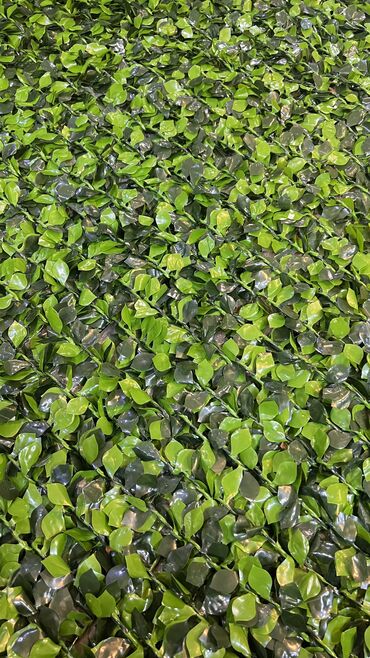 Bağ və bostan üçün digər məhsullar: 19 man baslayan qiymetler — 2