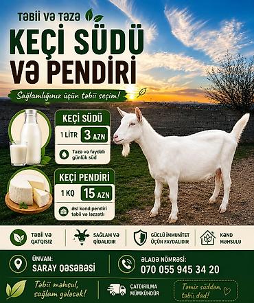 eşşək sudu satışı: Keçi südü pendiri satılır Təbii və təzə keçi südü və pendiri — 1