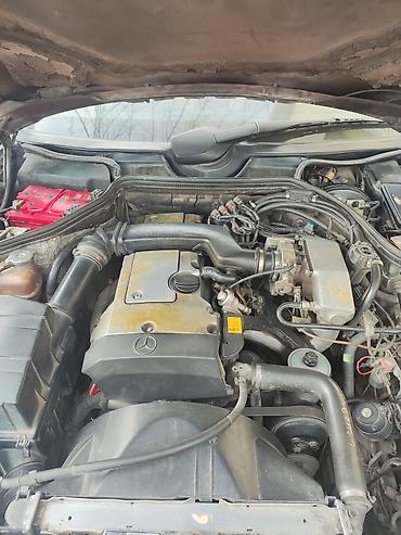 Mercedes-Benz: Mercedes-Benz W124: 1995 г., 2 л, Механика, Бензин, Универсал — 8