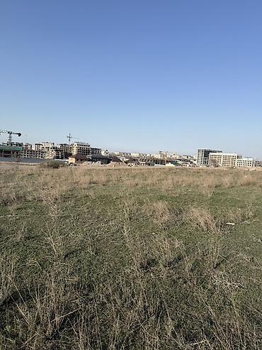 40 соток, Для строительства