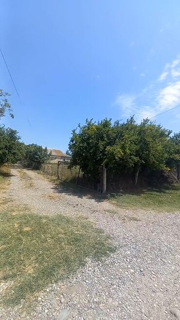 Həyət evləri və villaların satışı: 4 otaqlı, 3000 kv. m, Orta təmir -da lalafo.az — 12 Həyət evləri və villaların satışı: 4 otaqlı, 3000 kv. m, Orta təmir — 12