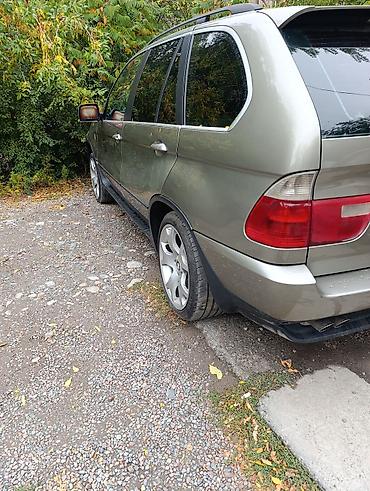 BMW: BMW X5: 2003 г., 4.4 л, Бензин — 2