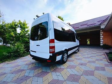 daf даф: Транспортные перевозки по всему региону — 6