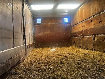 Грузовики: Грузовик, Стандарт, Б/у — 6